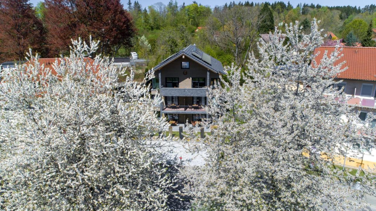 Invita Natur-Chalets Penthouse - Familienurlaub Im Schwarzwald - 240Qm Bad Dürrheim Extérieur photo